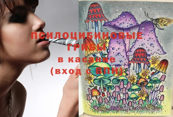 ECSTASY Абдулино